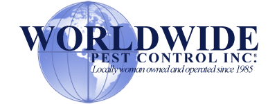 Apartments in San Antonio near Six Flags Fiesta The logo for world wide Pest Control Inc. showcases their expertise in both interior and exterior spraying, ensuring effective pest control solutions.