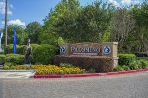 One Bedroom Apartments in San Antonio, TX - Community Entrance and Sign