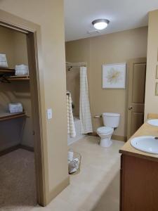 One Bedroom Apartments in San Antonio, Texas - Model Guest Bathroom with Large Closet