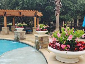 Apartments for rent in San Antonio TX,  - Pool with Planters and View to Pavilion